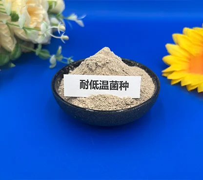 耐低温复合菌