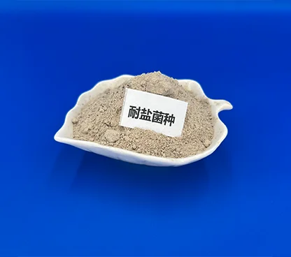 耐盐复合菌